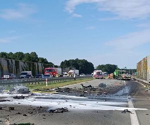 Śmiertelny wypadek na S8 pod Pabianicami. Kierujący BMW jechał pod prąd i huknął w tira [ZDJĘCIA].