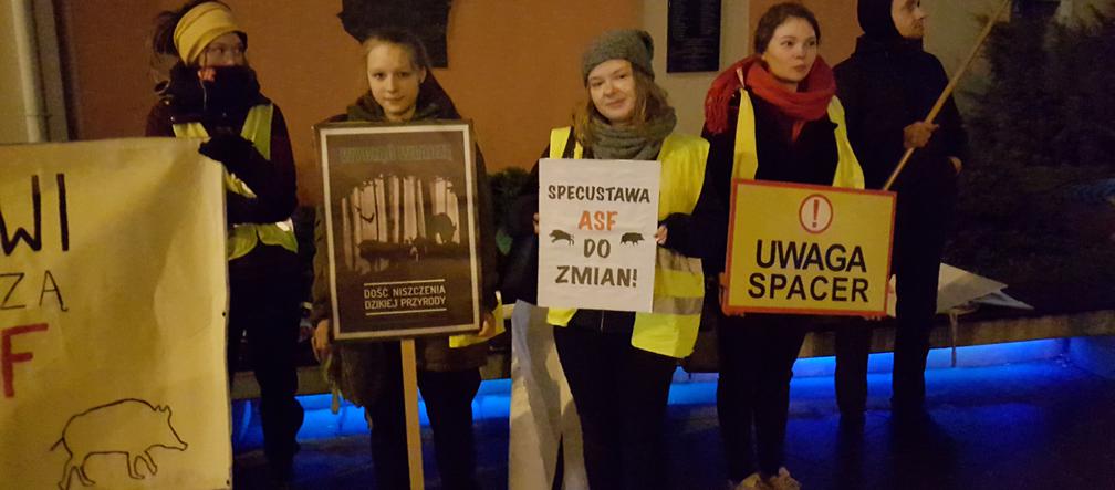 Ekolodzy boją się o dziki. Wyszli na ulice Bydgoszczy, by zaprotestować