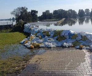 Walka z powodzią NA ŻYWO. Fala kulminacyjna przechodzi przez województwo lubuskie 