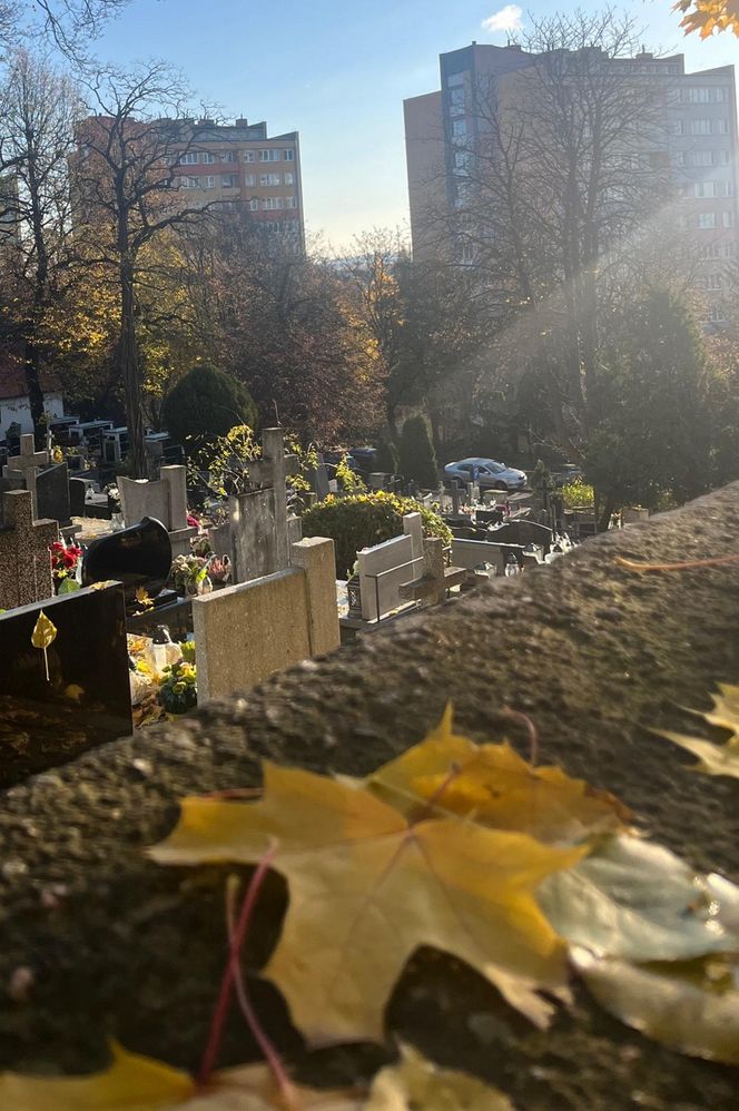 Zapomniany cmentarz w Lublinie zachwyca pięknem i historią. Ma już ponad 150 lat