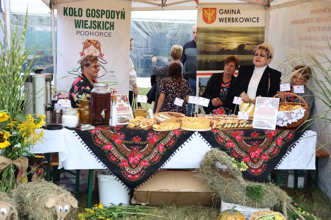 Dożynki wojewódzkie 2025 w Świdniku