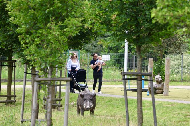 Miłosz Motyka. Energia rozpiera ministra