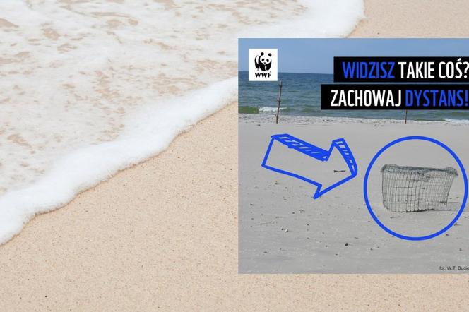 Tajemniczy kosz na plaży.  WWF ostrzega: Zachowaj dystans 