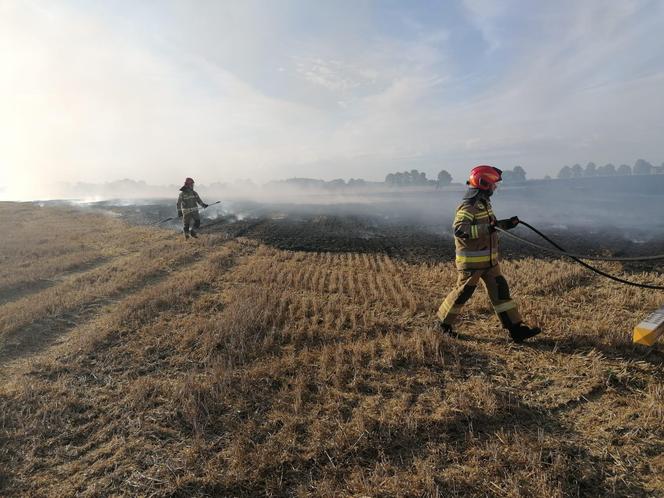 Dwa pożary zboża oraz rżyska w powiecie braniewskim