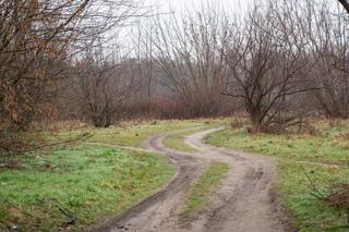 Powstaje projekt, który ucieszy rowerzystów. Nowa ścieżka rowerowa połączy dwa miasta