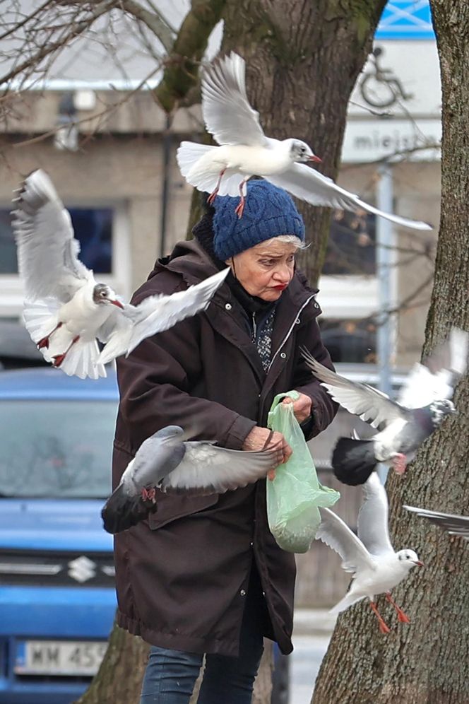 Anna Chodakowska. Gwiazda "Labiryntu" wśród ptaków