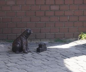 Nowe WidziMisie w Białymstoku! Pojawiły się kolejne rzeźby ulubionych białostockich niedźwiadków