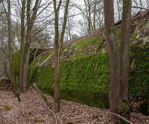  AI wskazała najgorsze miasto Opolszczyzny. Dramat i marazm, z którego nie ma wyjścia