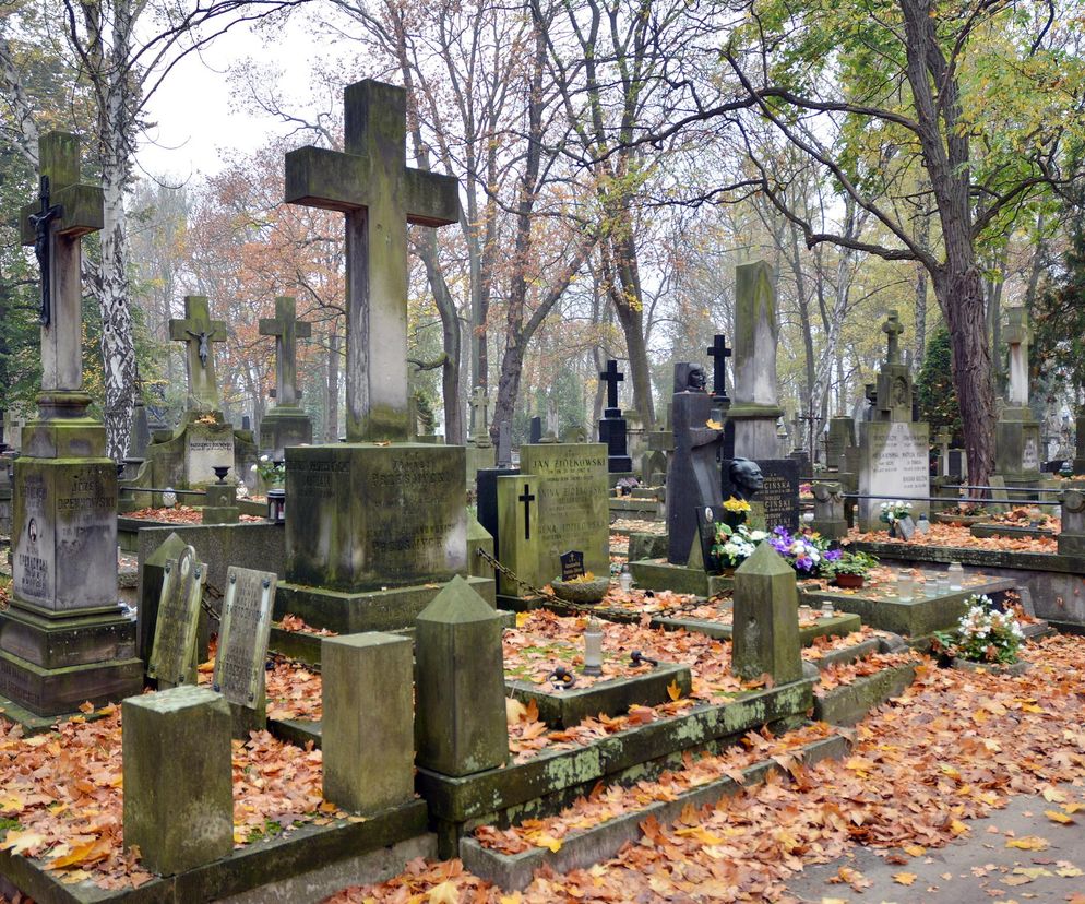 Polskie cmentarze