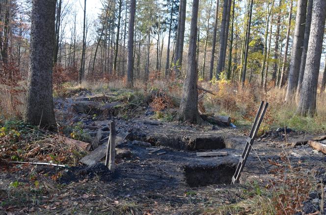 Biedaszyby w lasach na terenie Nadleśnictwa Wałbrzych