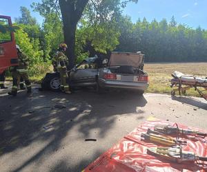 Wypadek pod Pabianicami. Mercedes rozpadł się na pół po uderzeniu w drzewo [ZDJĘCIA].