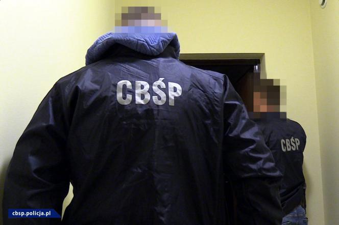Zmuszali je do nierządu, wysyłali do Francji. CBŚP z Lublina rozbiło gang sutenerów