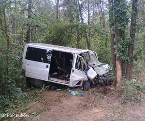 Bus rozbił się na drzewie. Wielu poszkodowanych, śmigłowiec LPR w akcji