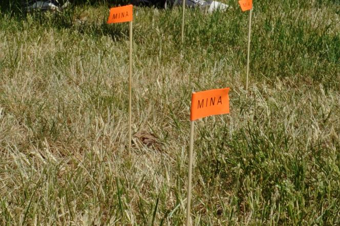 Chorągiewki z napisem miny 