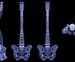 Kręgosłup – budowa, funkcje, biomechanika i choroby