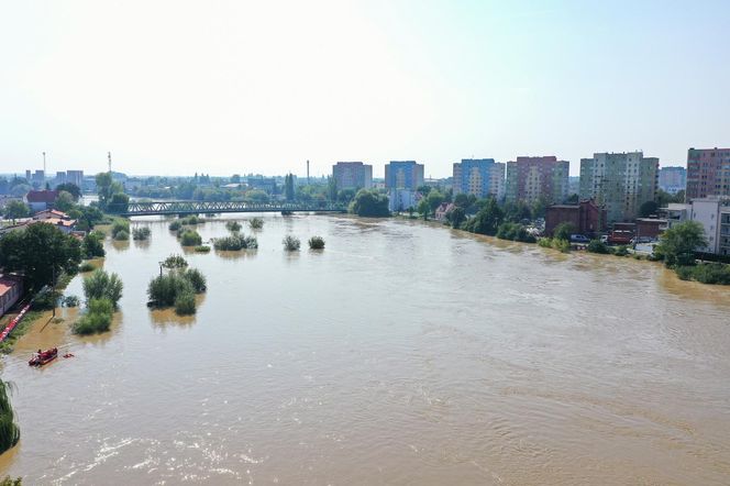 Tak wygląda Oława w czasach powodzi 2024 roku. Poruszający materiał