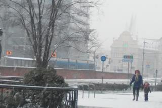 We Wrocławiu znów ma padać śnieg. Zrobi się biało? [PROGNOZA POGODY]