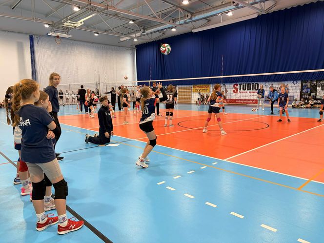 Siatkarski turniej z okazji Święta Niepodległości w Grudziądzu
