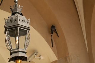 Największe tajemnice Krakowa