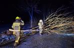 Wichura na Dolnym Śląsku. Powalone drzewa, uszkodzone samochody. Niemal 200 interwencji strażaków