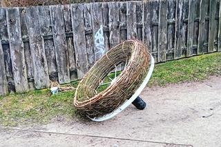 Karol (Marek) Łęgowski ze Skarszewa buduje bocianie gniazda. Montaż jednego z nich w Iławie