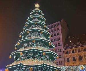 Ale blask! Choinka we Wrocławiu już świeci! Świątecznie rozświetliła cały Rynek [ZDJĘCIA]