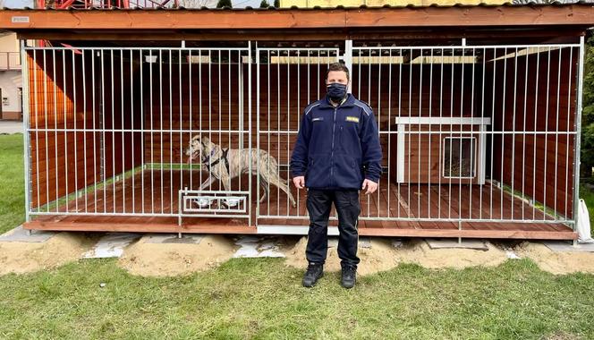 Pies w straży miejskiej