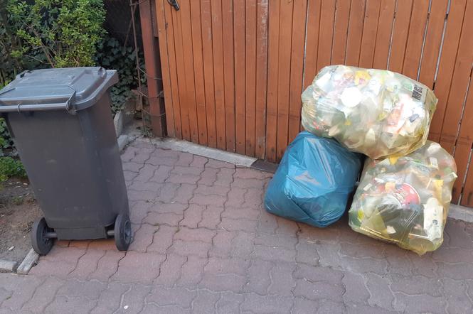 Śmieci w Tarnowie