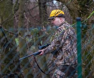 Myśliwi z długą bronią na ramieniu w środku toruńskiego osiedla przepędzali watahę dzików!