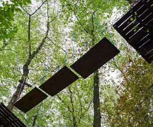 Linolandia – Kryspinów