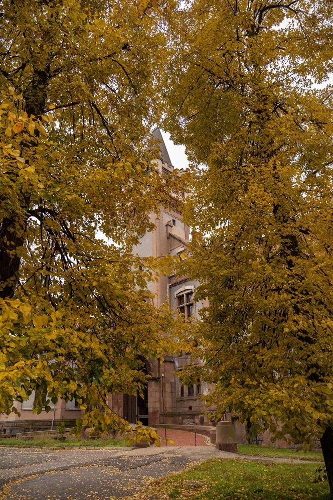 Pałac Schoena w Sosnowcu stanie się muzeum