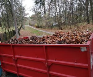 Młodzież z Grudziądza sprzątała na cmentarzu garnizonowym