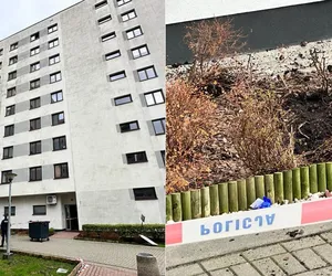 Nie żyje matka, która wypadła z córeczką z 8. piętra. Porażająca hipoteza śledczych