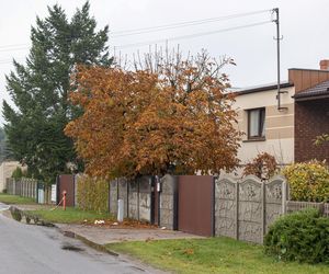 Strzelanina w Wielkopolsce! Policja zatrzymała pięć osób