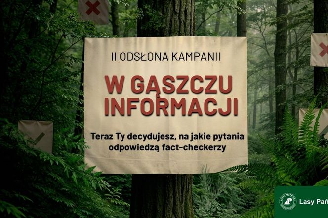 Nie daj się wkręcić w leśne mity! Internauci wybierają pytania dla ekspertów