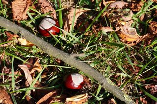 Pierwszy dzień jesieni 2024 w parku Ludowym w Lublinie