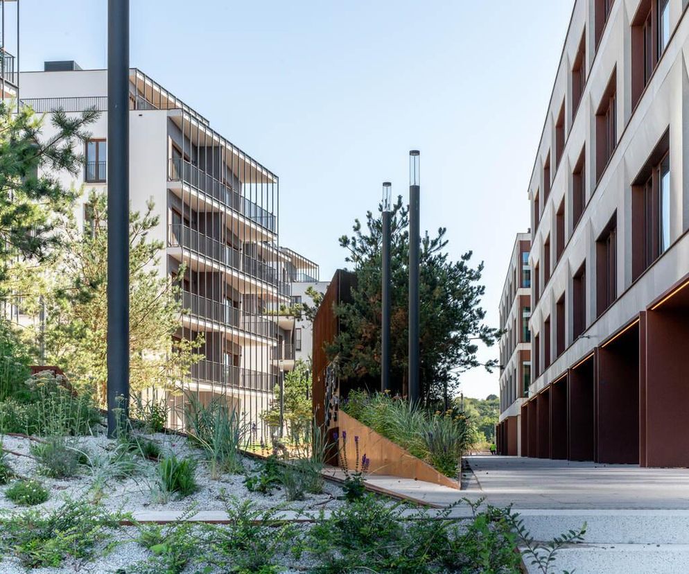 Nowoczesna zabudowa mieszkaniowo-usługowa Waterfront w Gdyni, z białymi fasadami, balkonami z metalowymi balustradami i brązowymi podcieniami, otoczona roślinnością nadmorską i sosnami. Architektura Murator Plus prezentuje ten projekt JEMS Architekci.