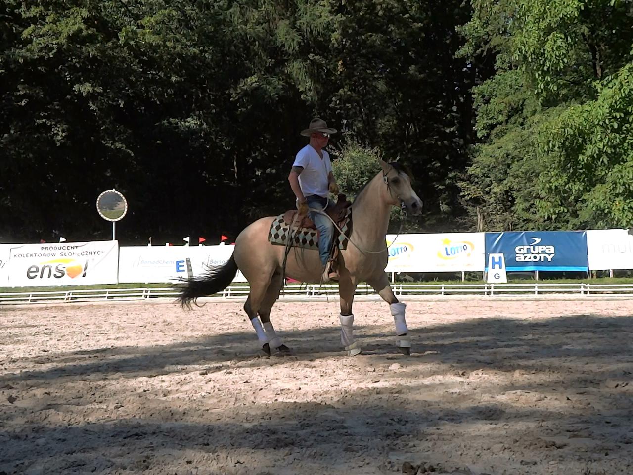 Jeździeckie Mistrzostwa Gwiazd