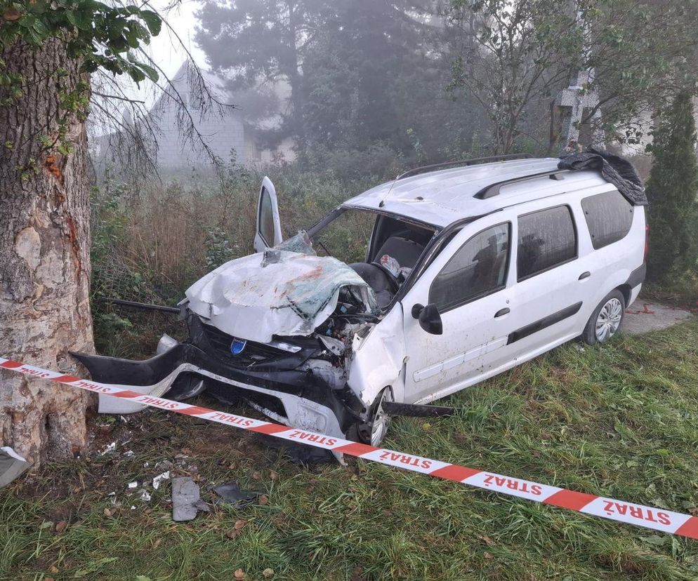 Auto z Gruzinami rozbiło się na drzewie. Siedem osób trafiło do szpitala. „Jechał za szybko”