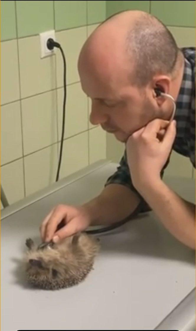 Wściekł się, bo wybudzili go ze snu