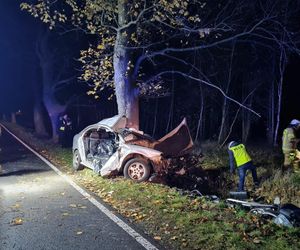 Nie żyje młody kierowca. Uderzył autem w drzewo