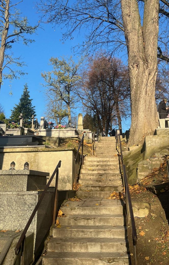 Zapomniany cmentarz w Lublinie zachwyca pięknem i historią. Ma już ponad 150 lat