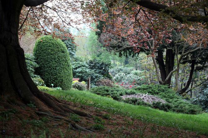 Arboretum Wojsławice prezentuje pełną paletę barw