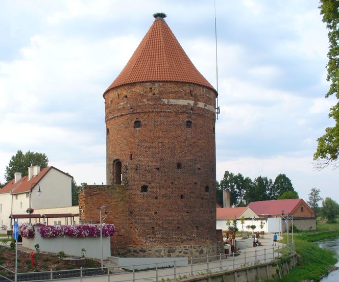 To wyjątkowy symbol miasta pod Olsztynem. Na jego szczycie znajduje się… gniazdo