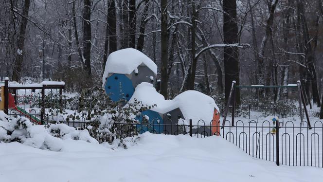 Wszędzie jest biało! Ogród Saski w Lublinie wygląda jak w bajkach Andersena [GALERIA]