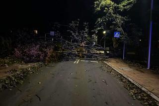 Totalna katastrofa pogodowa. W Tatrach wieje huraganowy wiatr. Urywa głowę!