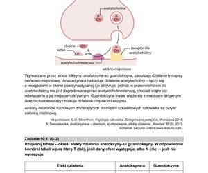Matura 2025 biologia rozszerzona: ODPOWIEDZI do wszystkich zadań, gotowe rozwiązania matury z biologii rozszerzonej - Formuła 2015 [9.05.2025]	