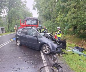 Śmiertelny wypadek na DK 69 pod Kępnem. Nie żyje dwóch kierowców 