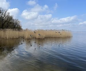 Kąpielisko i Jezioro Dąbie