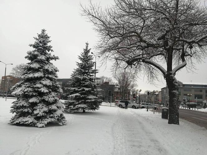 Zimowe klimaty w Siedlcach. Zobacz zdjęcia!